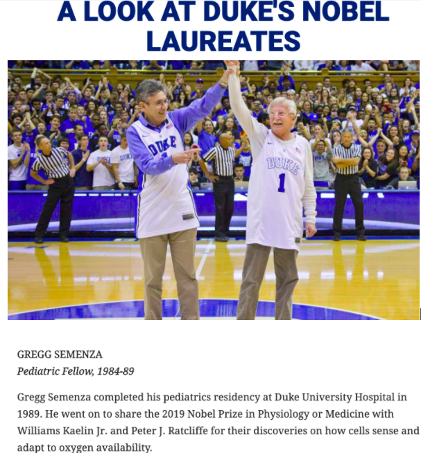 格雷格·塞门扎|2019诺贝尔奖得主塞门扎翻车！论文涉嫌造假，网友：P图才是科研利器？