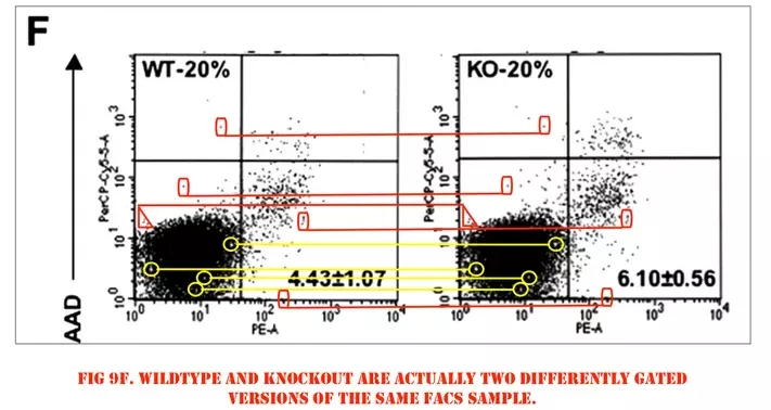 格雷格·塞门扎|2019诺贝尔奖得主塞门扎翻车！论文涉嫌造假，网友：P图才是科研利器？