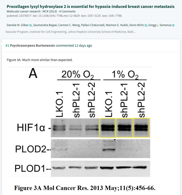 格雷格·塞门扎|2019诺贝尔奖得主塞门扎翻车！论文涉嫌造假，网友：P图才是科研利器？