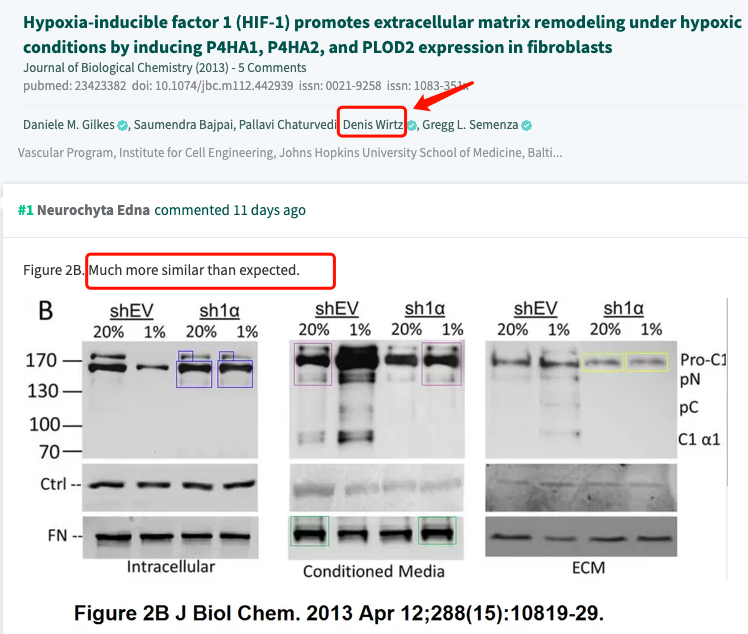 格雷格·塞门扎|2019诺贝尔奖得主塞门扎翻车！论文涉嫌造假，网友：P图才是科研利器？