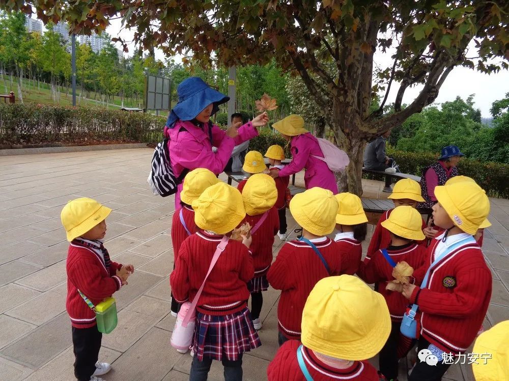 【安宁教育】天凉好个秋 幼儿园小朋友户外森林自然体验活动拥抱秋天
