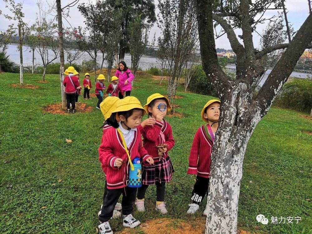 【安宁教育】天凉好个秋 幼儿园小朋友户外森林自然体验活动拥抱秋天