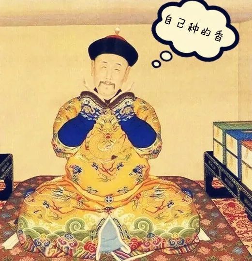 米饭|一碗米饭 百年故事