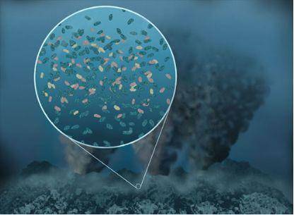 未解之谜|科学界至今还有哪些未解之谜？这些谜团300年内无人能解！