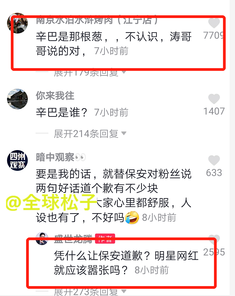 辛巴|辛巴怒斥保安有点“仗势欺人”，网友纷纷斥责其太嚣张