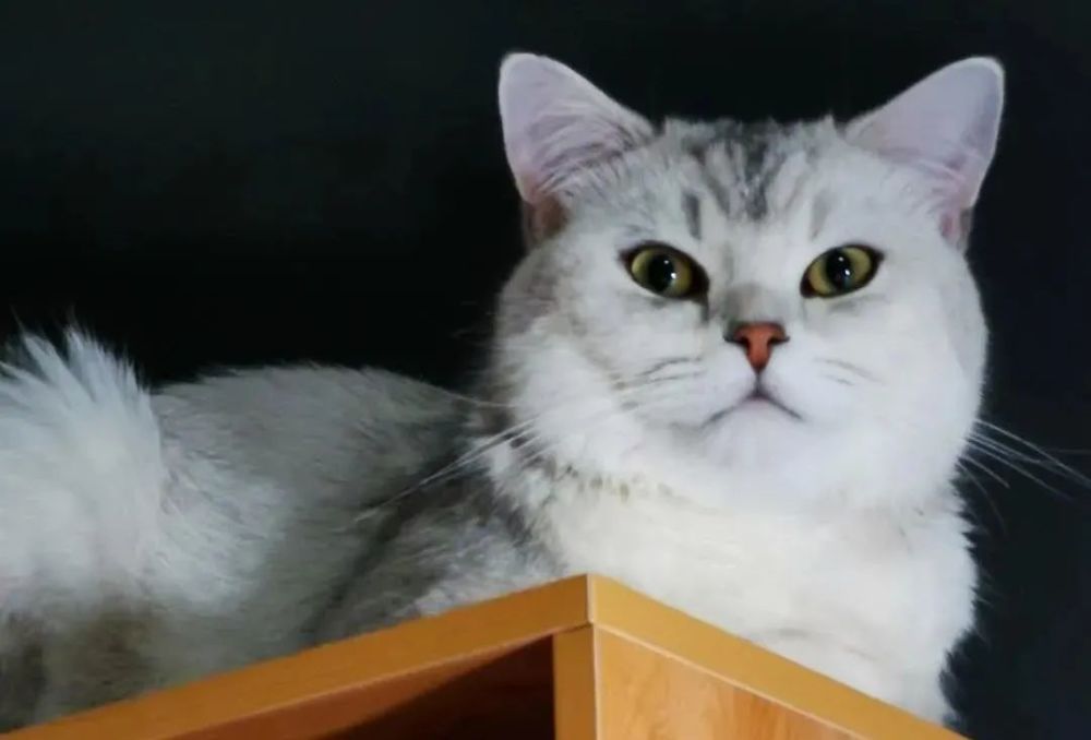 90后|毕业7年，第一批90后存了多少钱，开心吗？