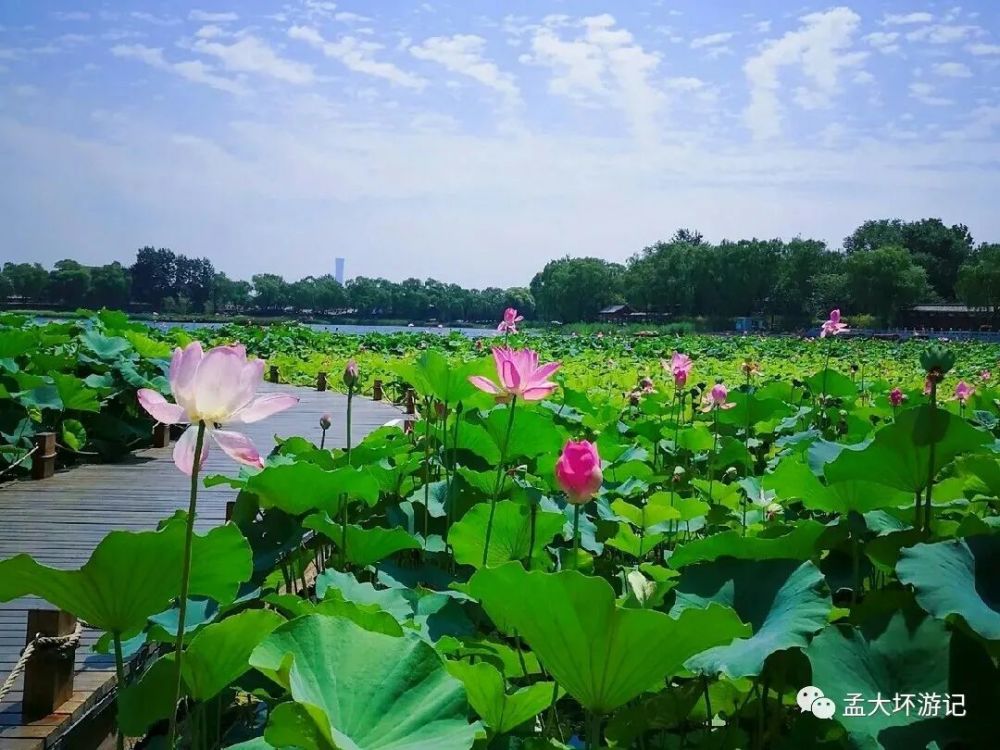 地铁|北京旅游攻略：各大著名景点位置，以及坐车路线，建议收藏有用