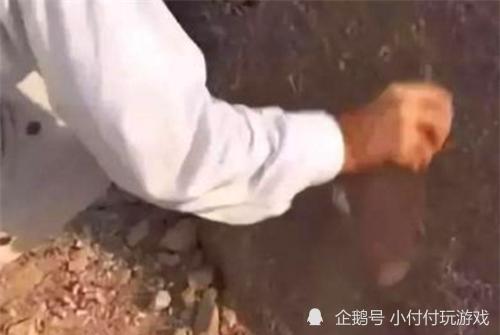 胡夫金字塔|金字塔建造于1901年？俄国科学家揭秘金字塔骗局，他有何证据？