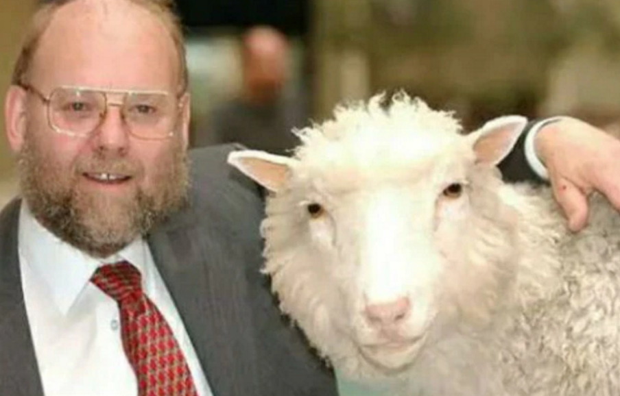 克隆技术|“克隆技术”曾传得沸沸扬扬，为何如今很少出现，看克隆羊的结局