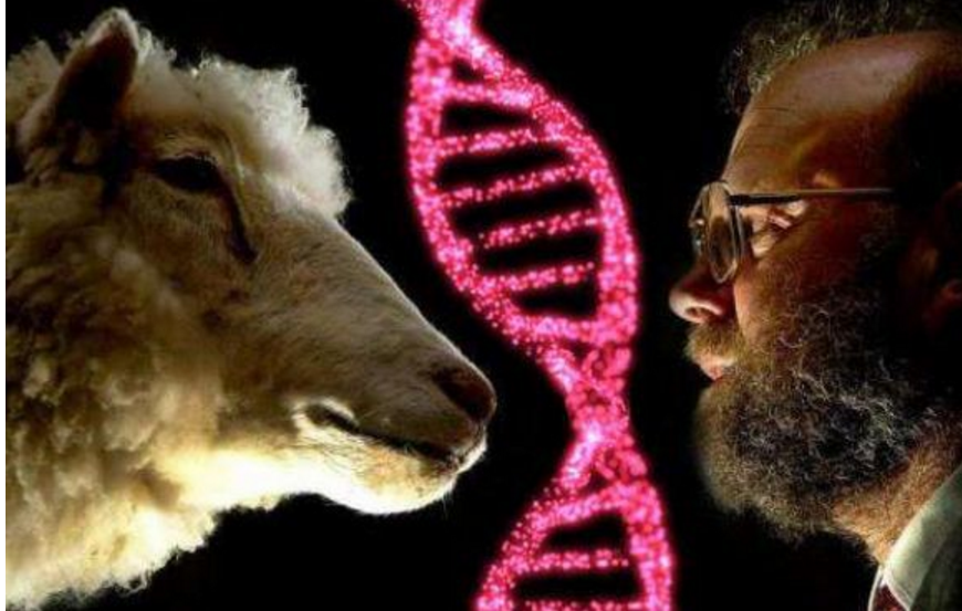 克隆技术|“克隆技术”曾传得沸沸扬扬，为何如今很少出现，看克隆羊的结局