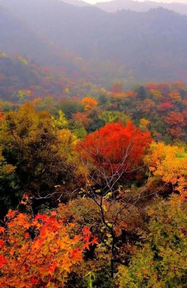 萬山紅遍河北12個絕美秋景錯過等一年