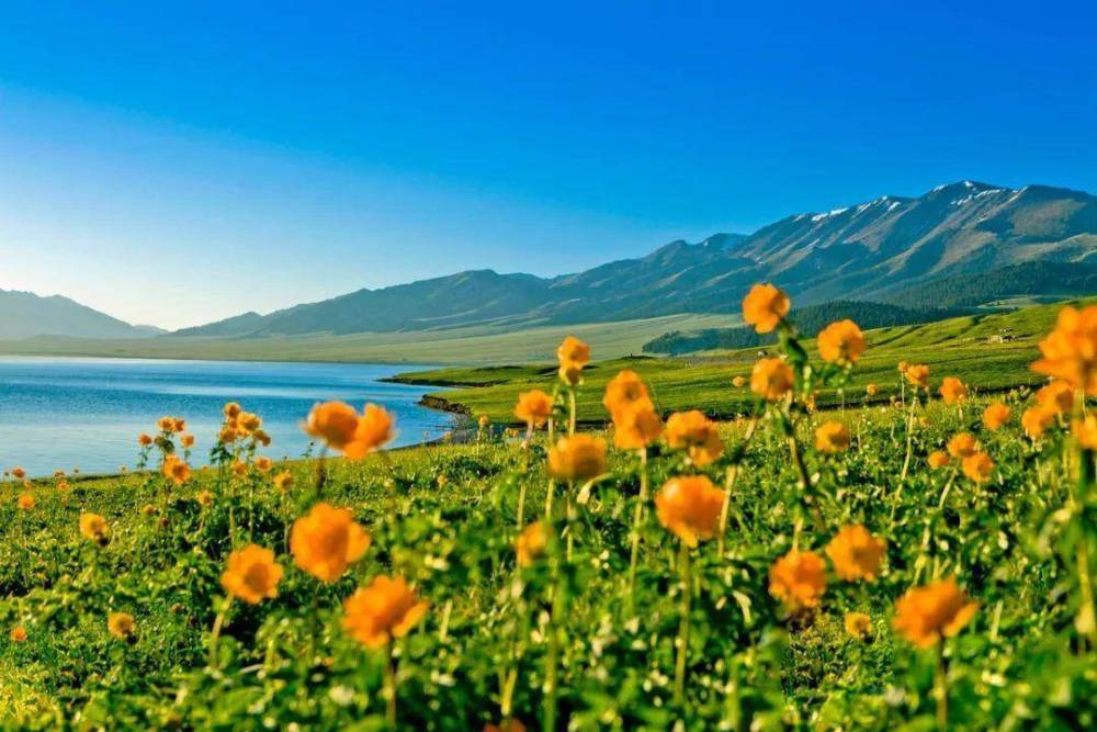 生殖隔离|为什么人类和所有生物都有生殖隔离？没有生殖隔离会怎样？