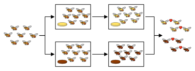 生殖隔离|为什么人类和所有生物都有生殖隔离？没有生殖隔离会怎样？