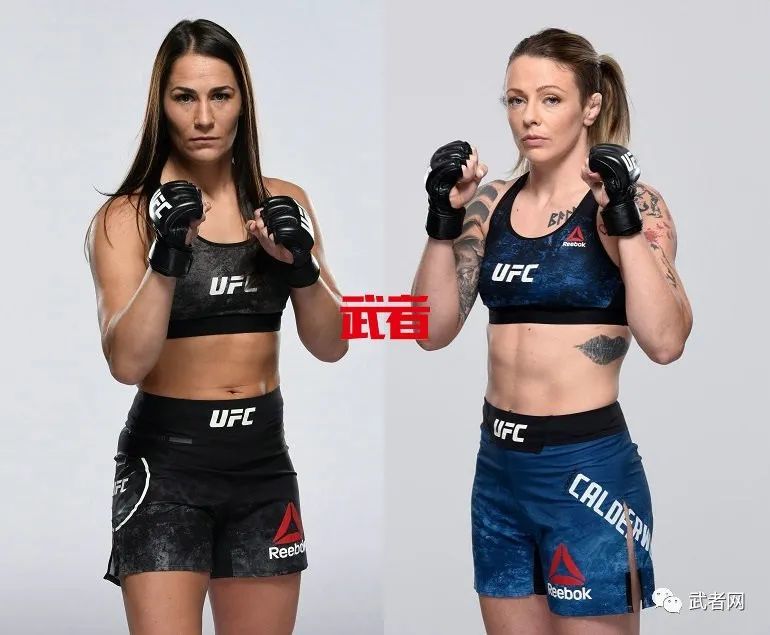 丹·霍克 vs 迈克尔·钱德勒达斯汀·波里尔 vs 康纳·麦格雷戈