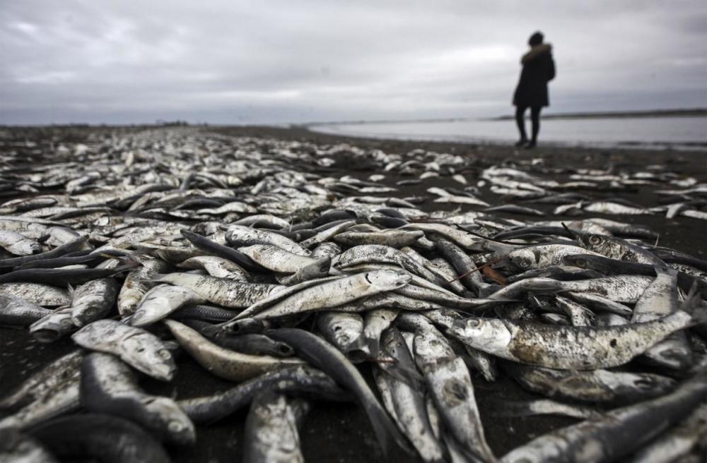 厄尔尼诺|“厄尔尼诺”和“拉尼娜”现象，为什么总是会轮番交替登场？