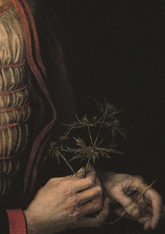 山海经|山海经：神荼丨沧海之中，有二神人，一曰神荼，一曰郁垒，主阅领万鬼