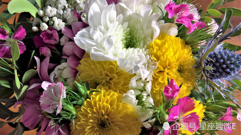 10月19日星座运势 金牛全力以赴 狮子警惕性强 双鱼独立自主 腾讯新闻