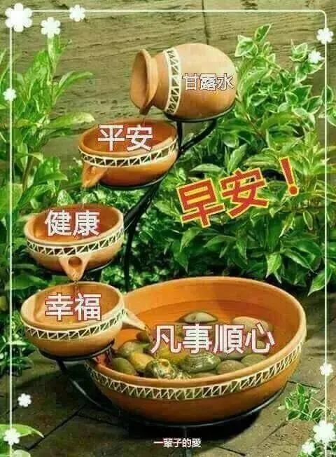 九月初三早晨问候语图片带鲜花 早上好祝福图片表情大全 鲜花 好心情 安康