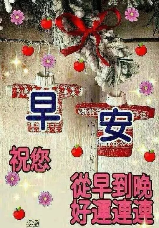 九月初三早晨问候语图片带鲜花,早上好祝福图片表情大全