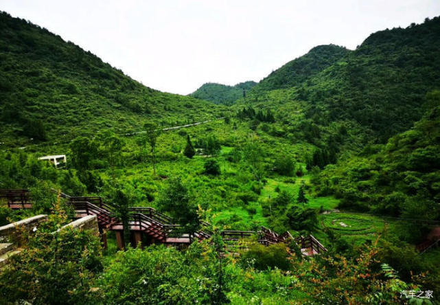 夏天露营纳凉的好去处——重庆千野草场景区
