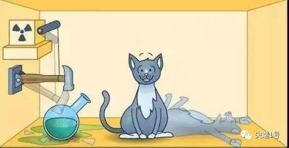 宇宙|宇宙宿命论被发现，人或活在虚拟之中，一切可能早已被设定好？