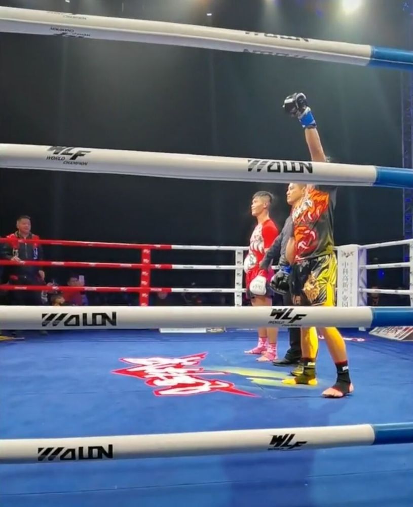 新王登基魏锐击败金鹰获得超级王者总冠军正式成为武林风一哥