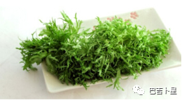 大卫 威尔科克|揭露宇宙丨考察飞船上的生活 04