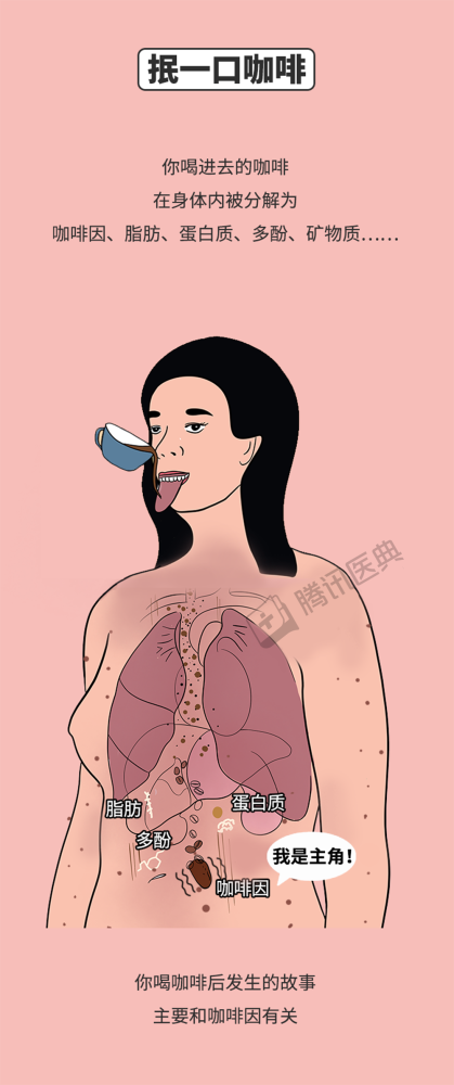 caffeine|咖啡那么难喝，为什么那么多人喜欢？今天告诉你答案！