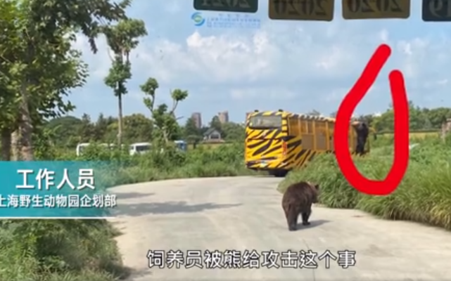 上海野生动物园熊吃人事件始末一工作人员身亡