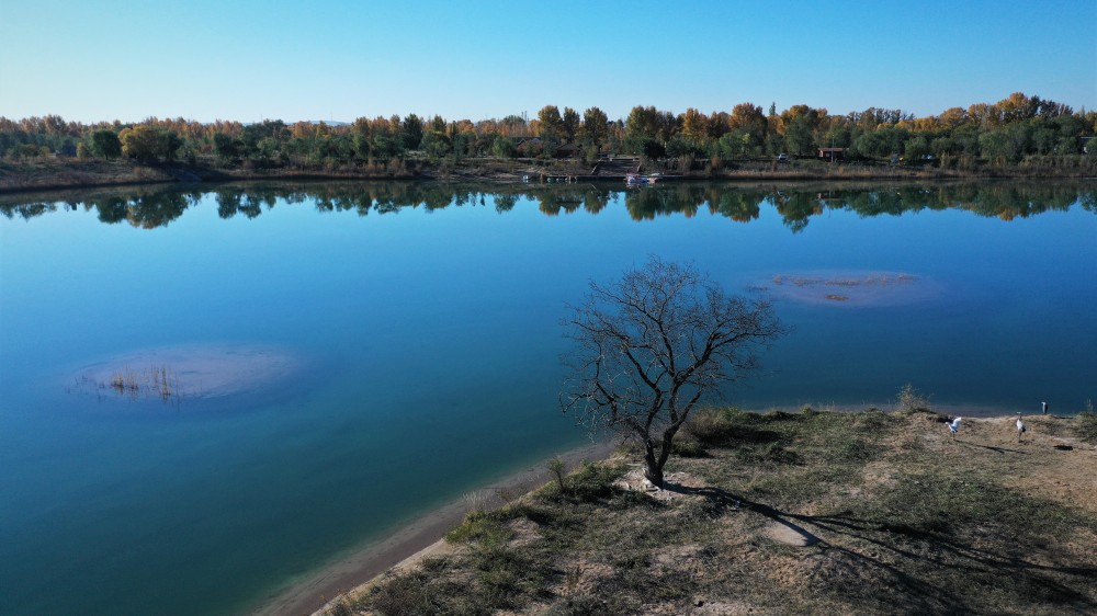 金秋盐池哈巴湖,有一片看不到尽头的金黄_腾讯新闻