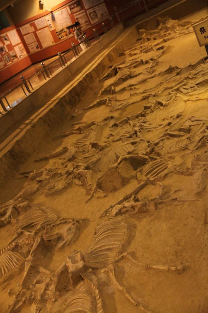 虢国墓地|虢国墓地考！