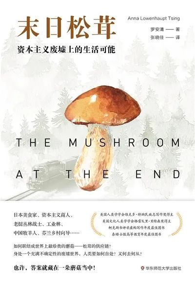 埃里克-埃马纽埃尔·施米特|秋天里的好书，我们选出了34本｜2020年新京报秋季书选