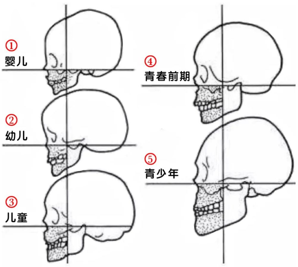 吉娜|吉娜怀孕了，技术流分析她的孩子会遗传整形前吗？