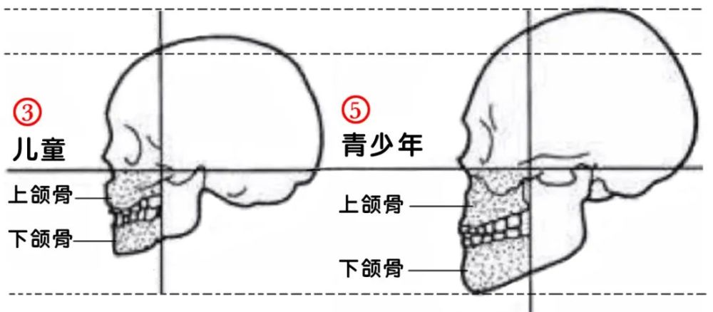 吉娜|吉娜怀孕了，技术流分析她的孩子会遗传整形前吗？