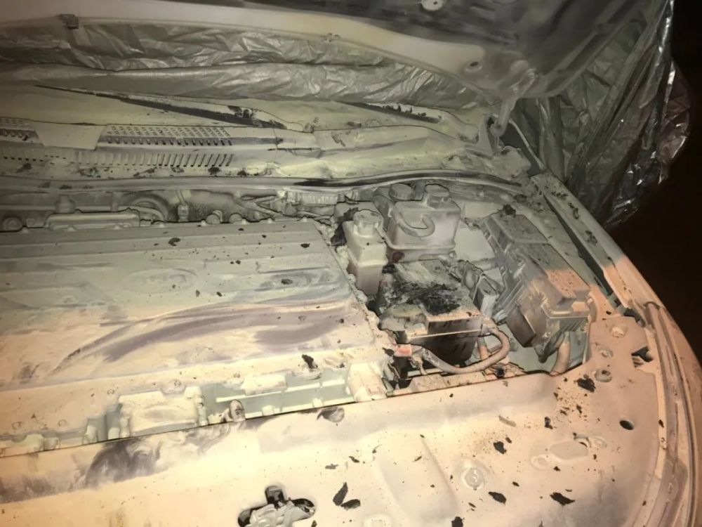 起火|刚从4S店保养出来就自燃，比亚迪新能源车起火吓坏车主