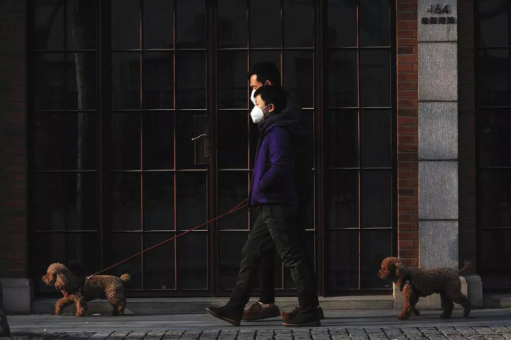 干扰素|是什么导致新冠患者发展成重症？这种干扰素缺失可能是原因之一