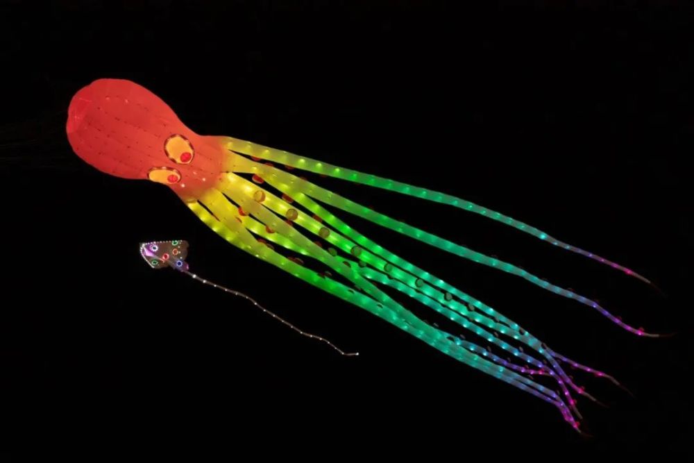 城市沙滩上空出现一大波形态各异的发光物体原来是