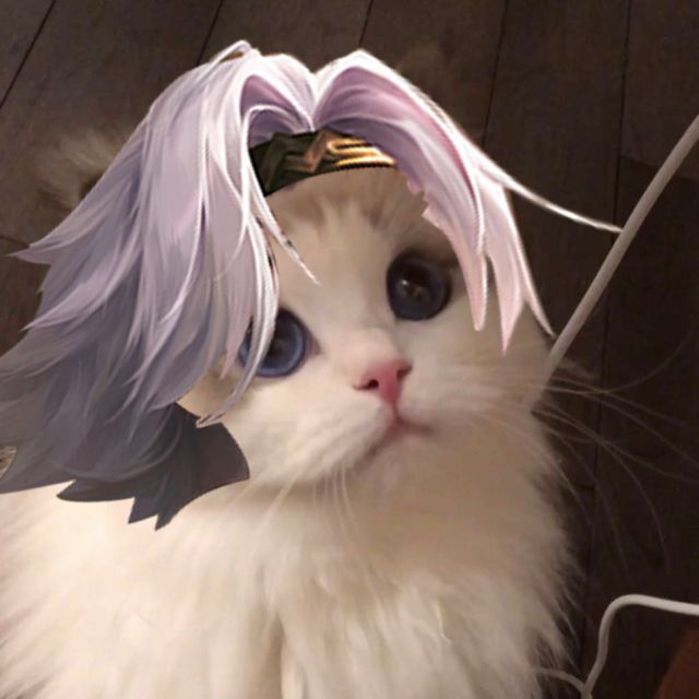 王者荣耀猫咪可爱接头头像曜貂蝉孙悟空