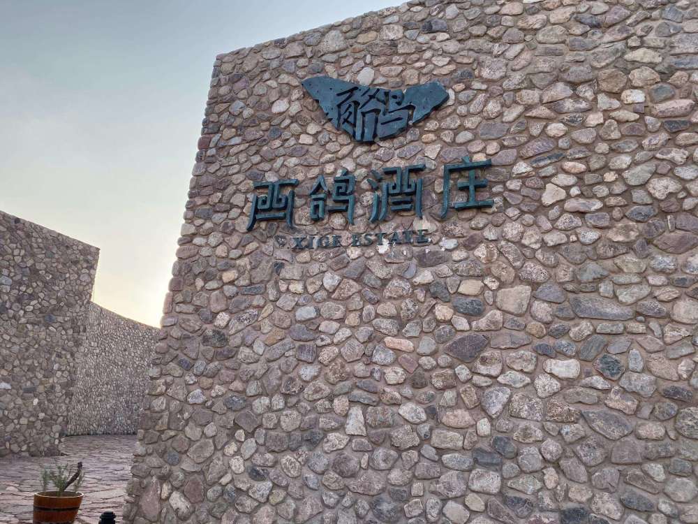 酒庄故事丨我从远古走来西鸽酒庄