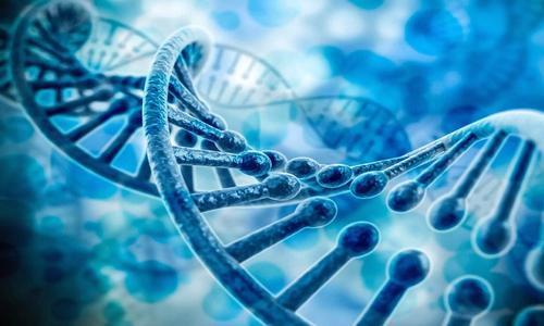 科学家|人类的寿命有上限吗？上限是多少？听完科学家的解释恍然大悟