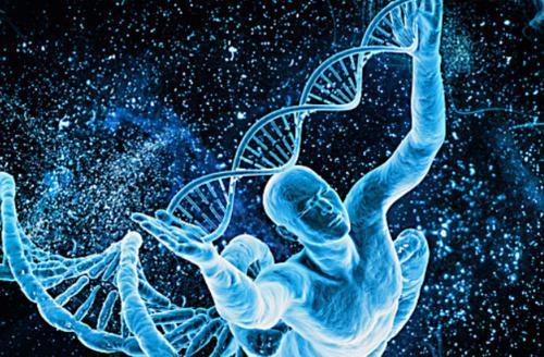 科学家|人类的寿命有上限吗？上限是多少？听完科学家的解释恍然大悟