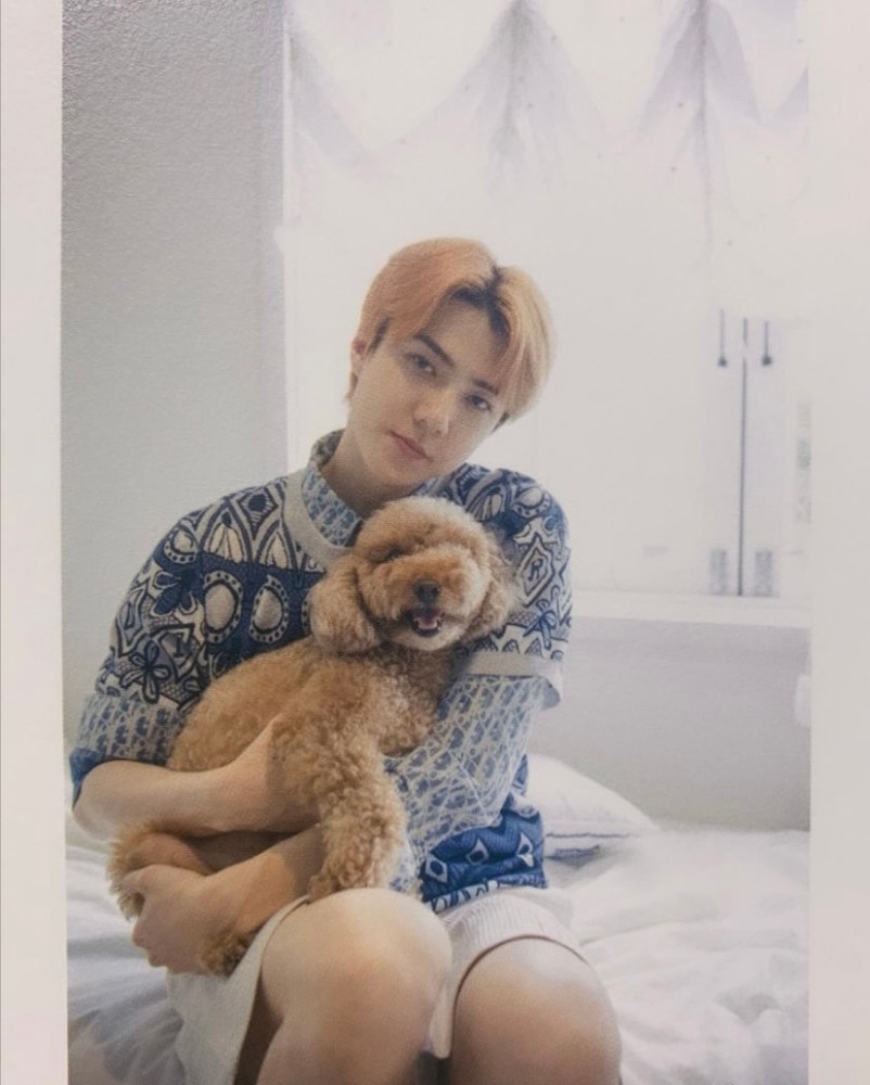 吴世勋久违亦如初见亲切又新鲜