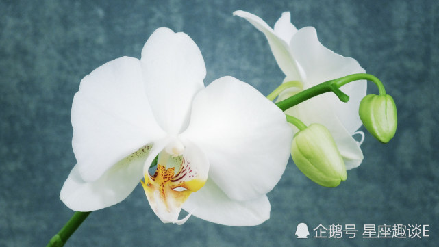 10月日 31日星座运势 双子思虑周全 天蝎独立自主 双鱼坦诚相待 双子座 星座运势 双鱼座 天蝎座