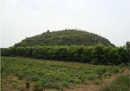 迁葬打开墓室发现棺上趴着一条一丈多长大黑蛇移棺后将蛇放回