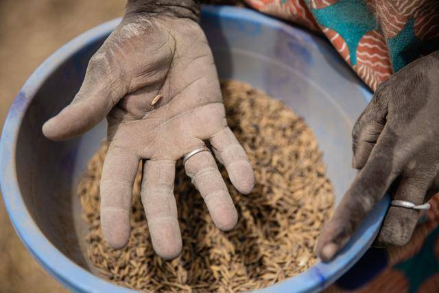 但红十字国际委员会继续为非洲各地面临冲突和暴力局势的社区提供粮食