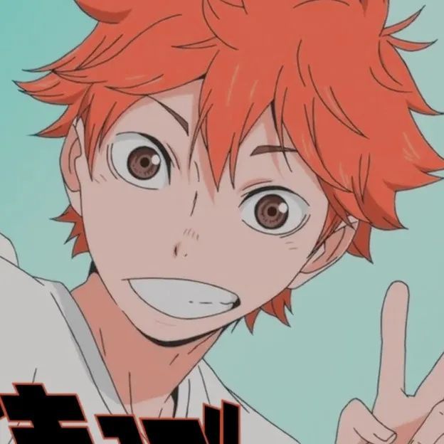 第27期动漫男头排球少年西谷夕日向翔阳