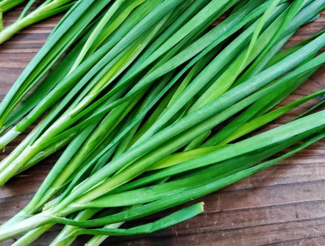 韭菜|韭菜叶|韭菜豆腐|韭菜炒虾仁|韭菜盒子