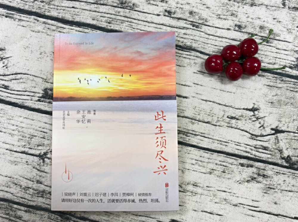 此生须尽兴|《此生须尽兴》：烟火气里活着，就要热气腾腾，诗酒趁年华