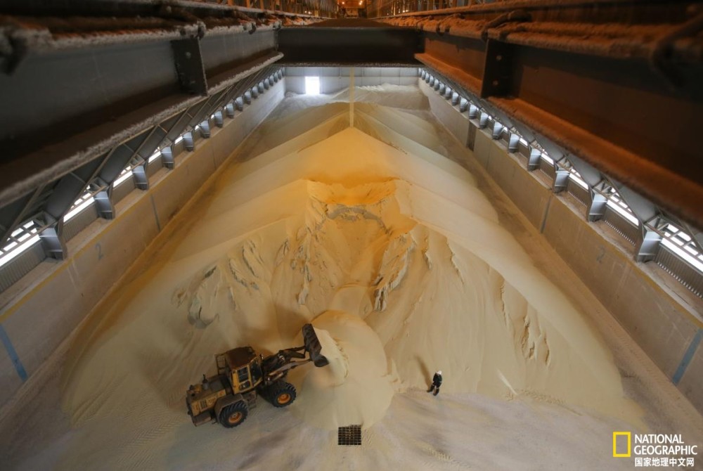 农民|磷危机日益逼近，土壤或隐藏解决方法