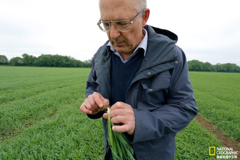 农民|磷危机日益逼近，土壤或隐藏解决方法